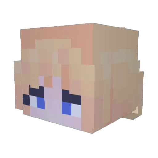 rustedboii Minecraft avatar head, 3D render