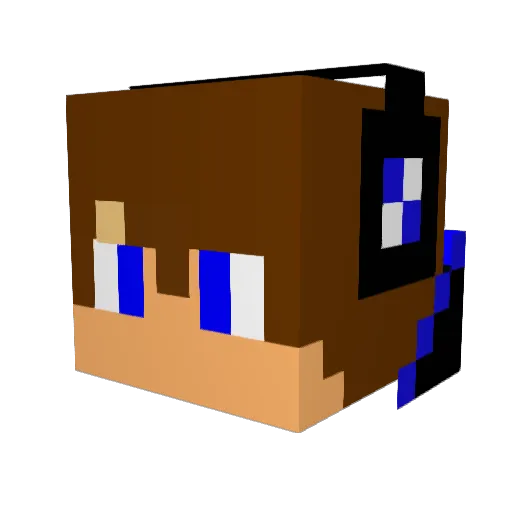 rustic_raven Minecraft avatar head, 3D render