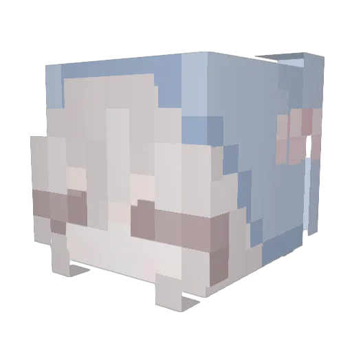 rusty122 Minecraft avatar head, 3D render