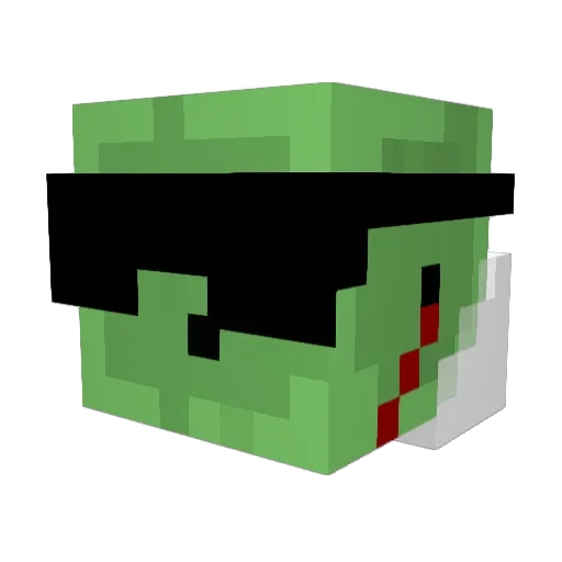 rutger1233333 Minecraft avatar head, 3D render