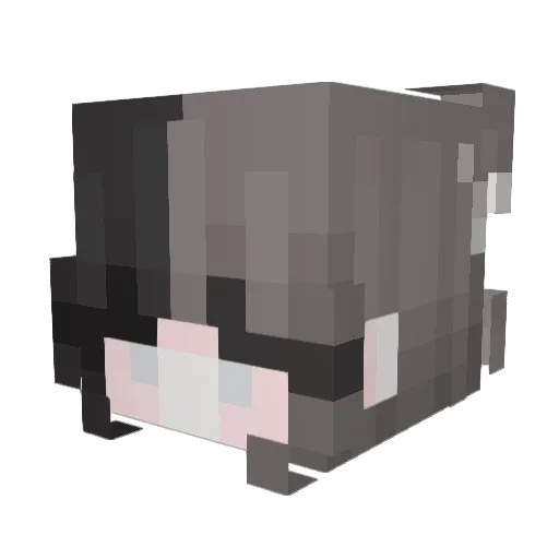 ruthia0 Minecraft avatar head, 3D render