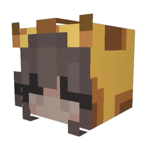 ruthieeeee Minecraft avatar head, 3D render