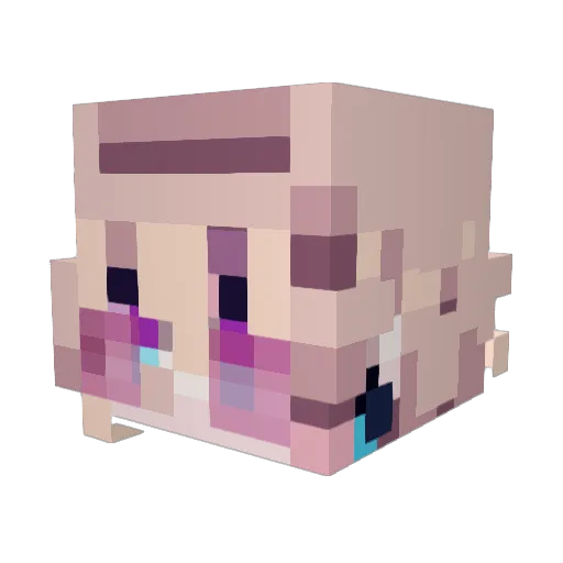 rutileflores Minecraft avatar head, 3D render