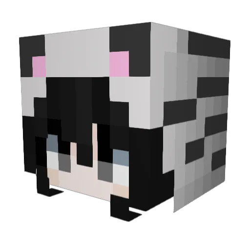 ruuby1 Minecraft avatar head, 3D render