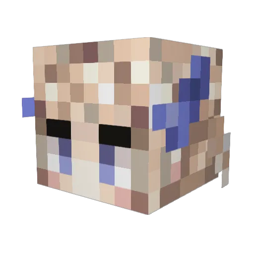 ruv9954 Minecraft avatar head, 3D render