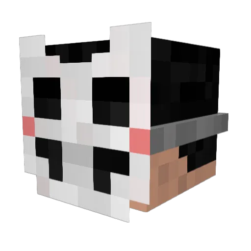 ruzdymuffler Minecraft avatar head, 3D render