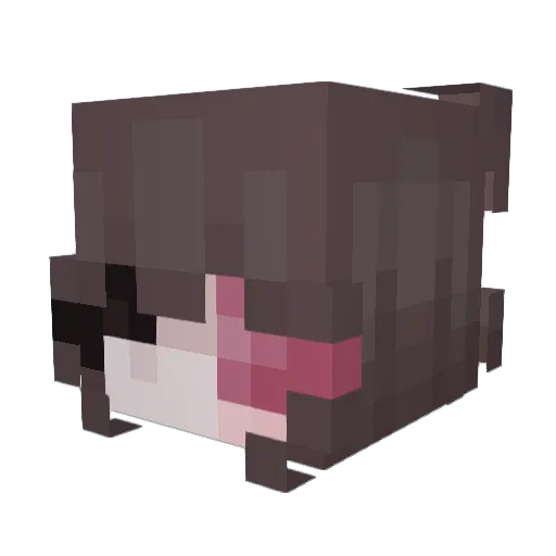 ruzzicxs Minecraft avatar head, 3D render