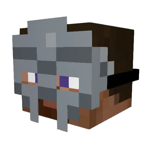 rv9inee Minecraft avatar head, 3D render