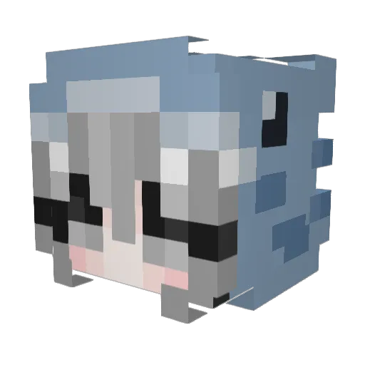 rvby444 Minecraft avatar head, 3D render