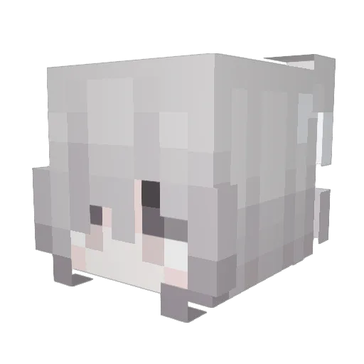rvez Minecraft avatar head, 3D render