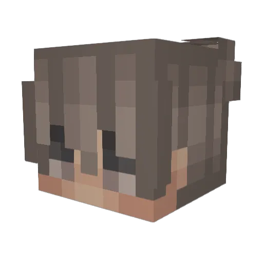 rvffy_ Minecraft avatar head, 3D render