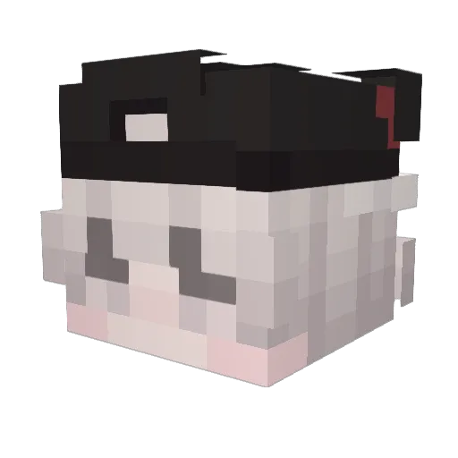 rvngkai Minecraft avatar head, 3D render