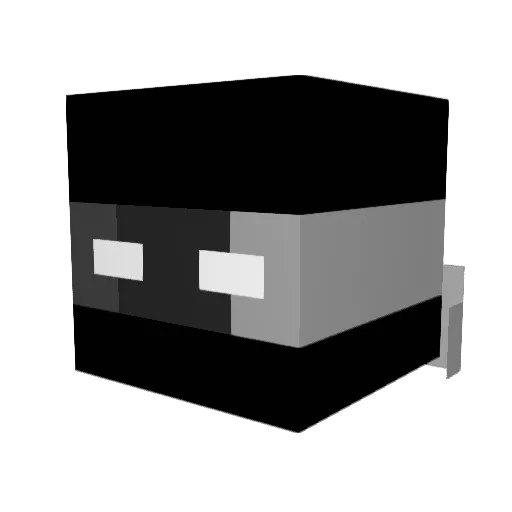 rvnight Minecraft avatar head, 3D render