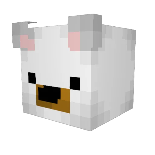 rwaha Minecraft avatar head, 3D render