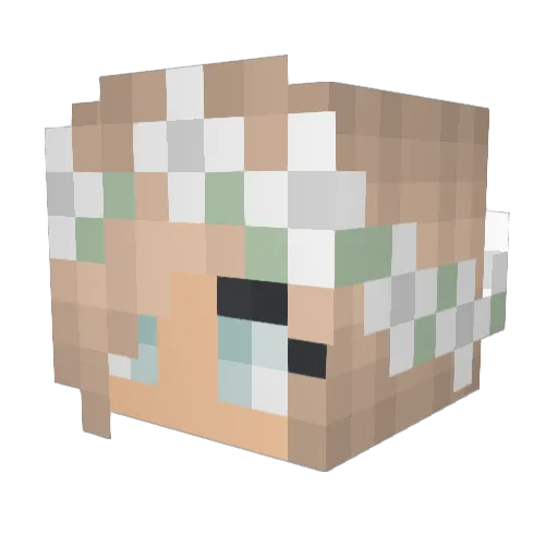 rwalsh_123 Minecraft avatar head, 3D render