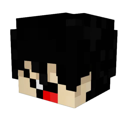 rwcw Minecraft avatar head, 3D render