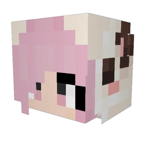 rwdn Minecraft avatar head, 3D render
