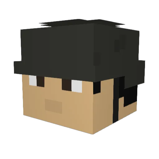 rwe5641 Minecraft avatar head, 3D render