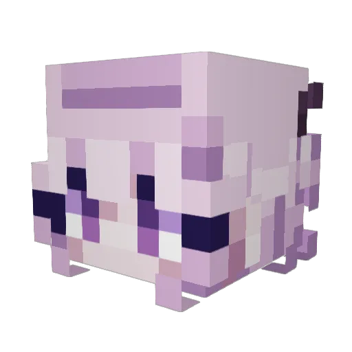 rwfry Minecraft avatar head, 3D render