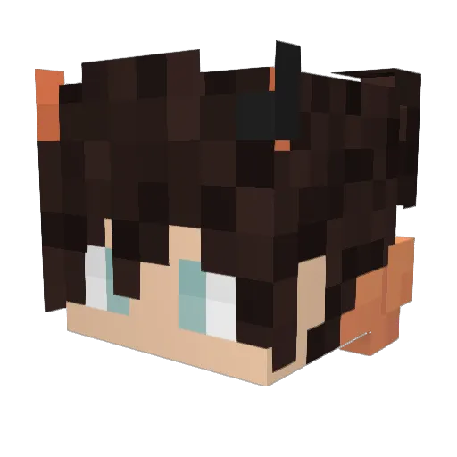 rwg19 Minecraft avatar head, 3D render