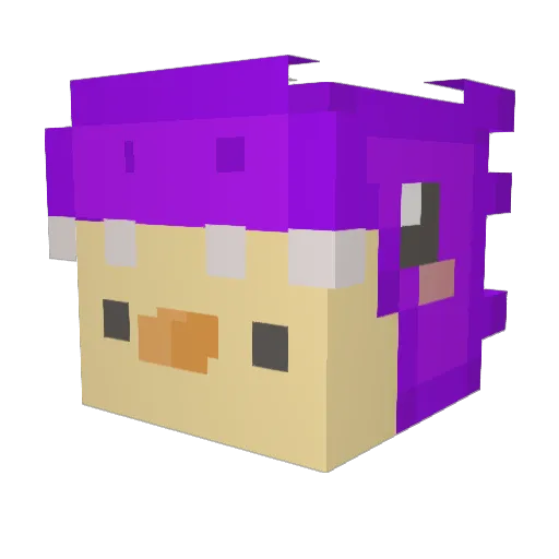 rwniel Minecraft avatar head, 3D render