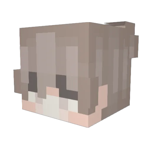rwshi Minecraft avatar head, 3D render