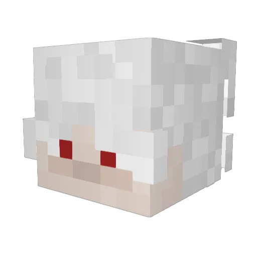 rxbertz Minecraft avatar head, 3D render