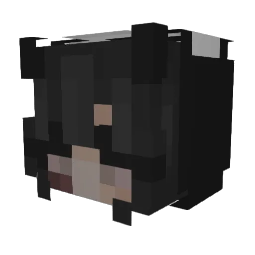 rxbvyz Minecraft avatar head, 3D render