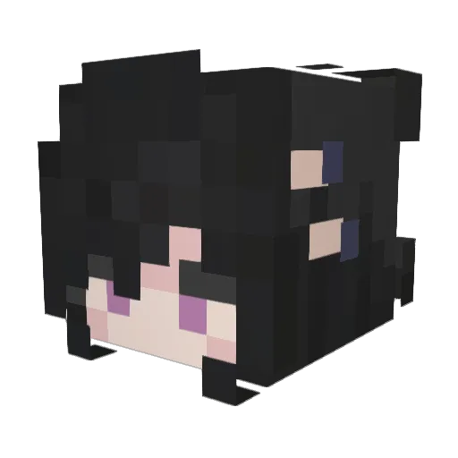 rxcc00n Minecraft avatar head, 3D render