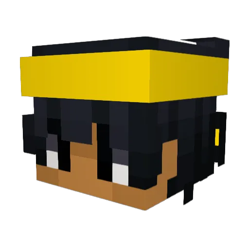 rxcefarmer Minecraft avatar head, 3D render