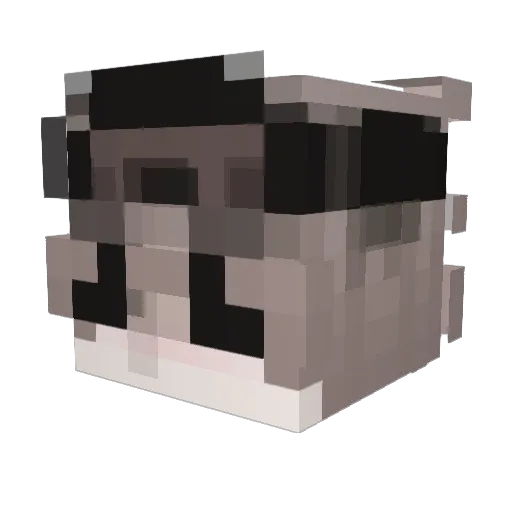 rxcrujt Minecraft avatar head, 3D render