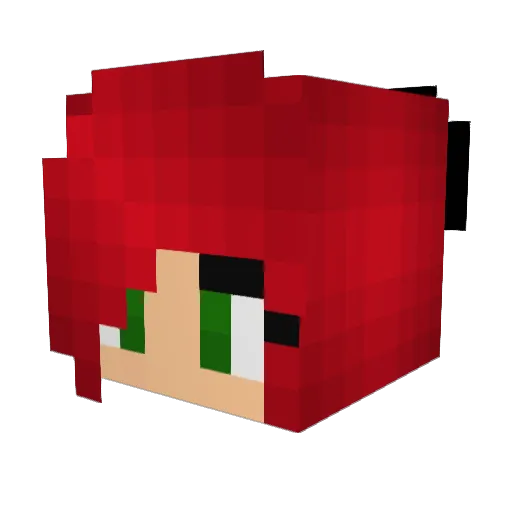 rxdicalss Minecraft avatar head, 3D render