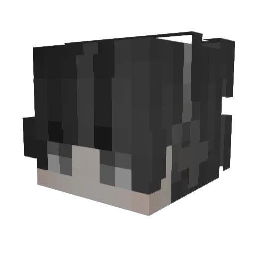 rxdmcore Minecraft avatar head, 3D render