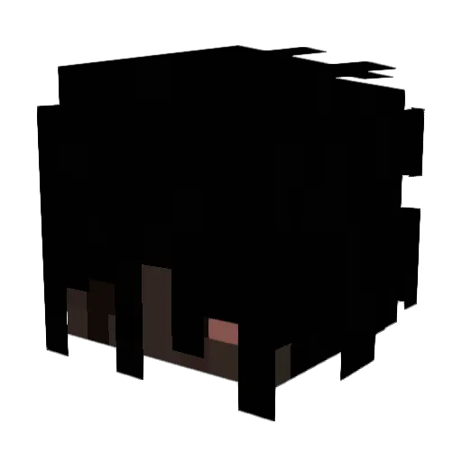 rxdu_ Minecraft avatar head, 3D render