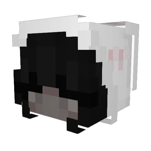 rxinbowmarz Minecraft avatar head, 3D render