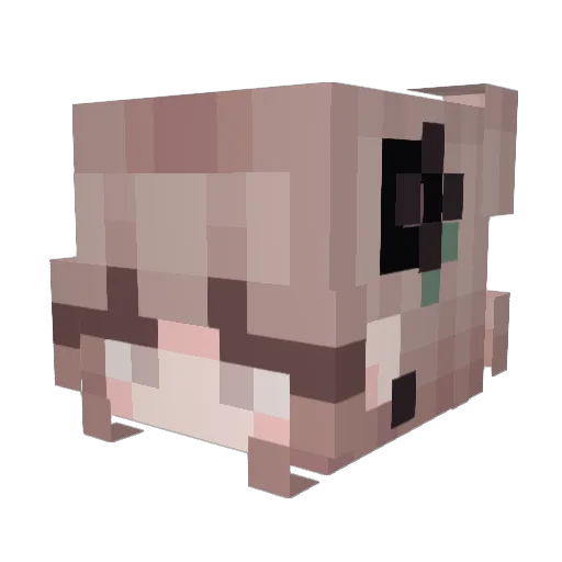 rxira Minecraft avatar head, 3D render