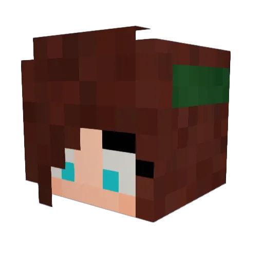 rxjxh Minecraft avatar head, 3D render