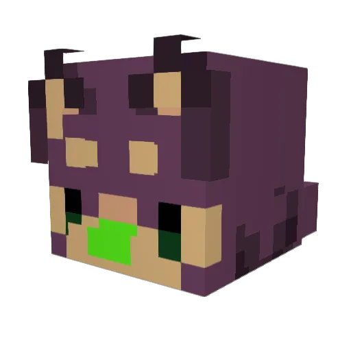 rxt_txt Minecraft avatar head, 3D render