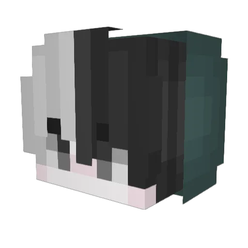 rxtten Minecraft avatar head, 3D render