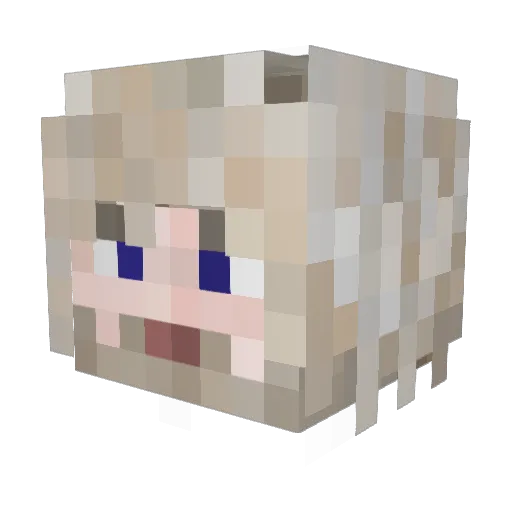 rxyned Minecraft avatar head, 3D render