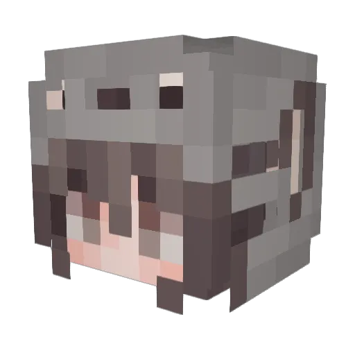 rxyv Minecraft avatar head, 3D render