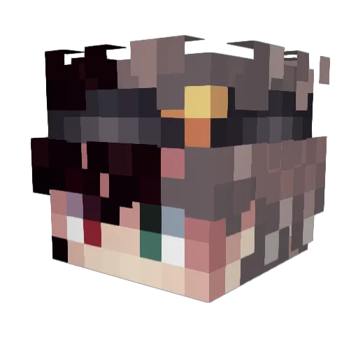 ry_guyy1 Minecraft avatar head, 3D render