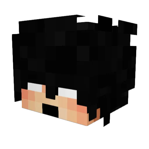 ryaanfx Minecraft avatar head, 3D render