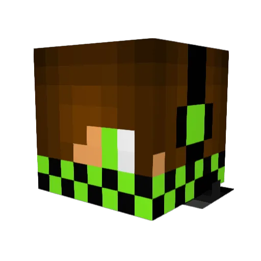 ryak20 Minecraft avatar head, 3D render