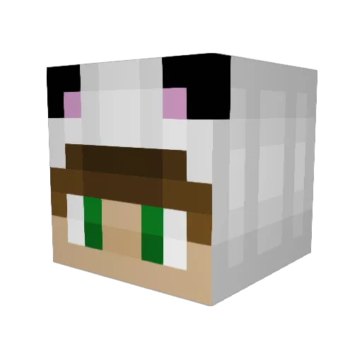 ryanA415 Minecraft avatar head, 3D render