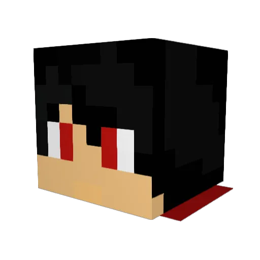ryan_30 Minecraft avatar head, 3D render