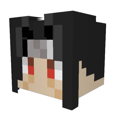 ryan_flowers Minecraft avatar head, 3D render