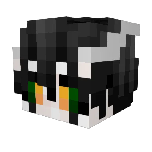 ryana_ Minecraft avatar head, 3D render