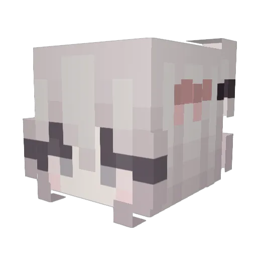 ryanananan Minecraft avatar head, 3D render