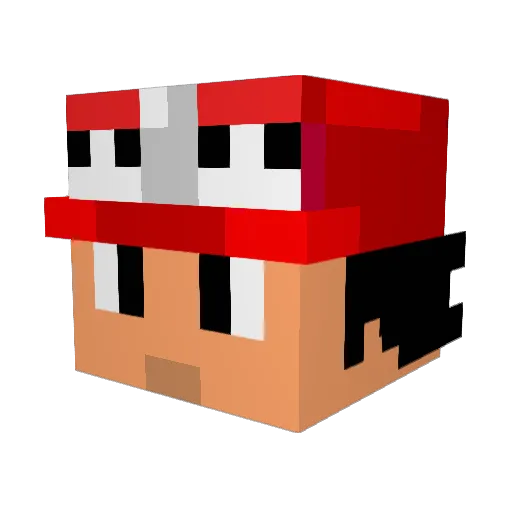 ryanandcasey Minecraft avatar head, 3D render